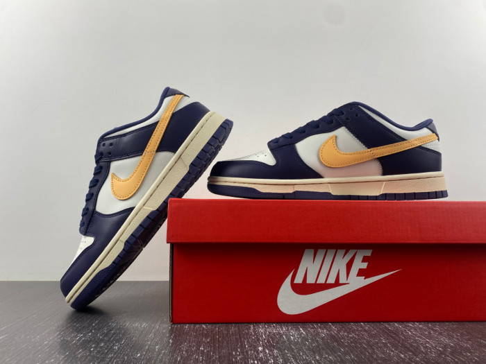 Nike Dunk Low Retro FV8106-181