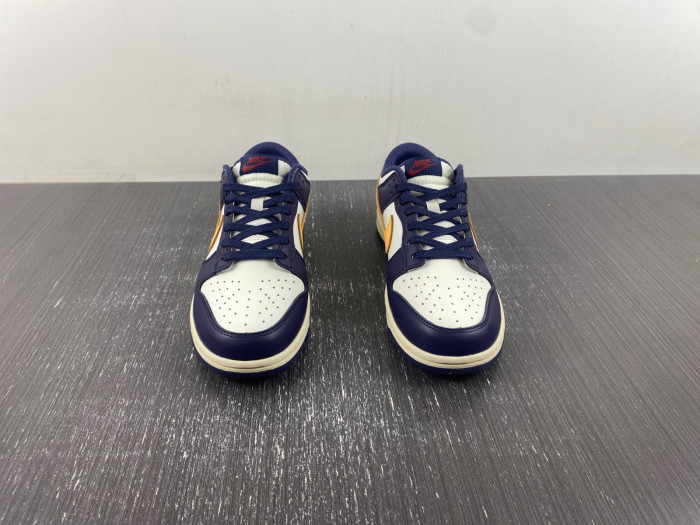 Nike Dunk Low Retro FV8106-181