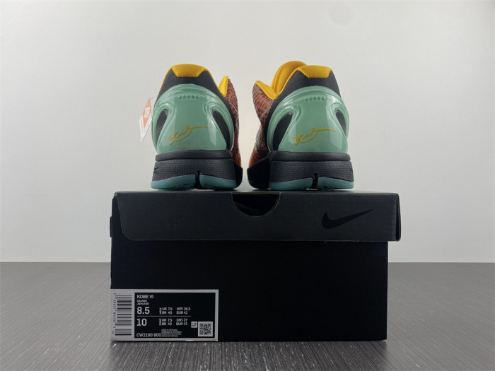 Nike Zoom Kobe 6 Protro