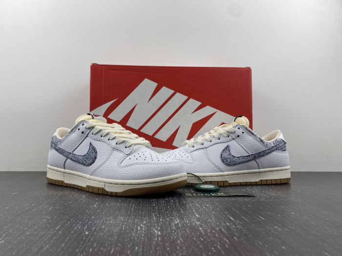 Nike Dunk Low “Washed Denim” FN6881-100