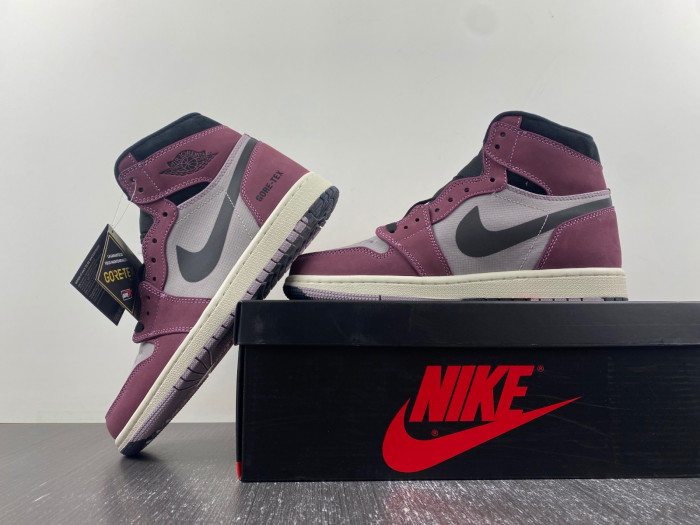 Air Jordan 1 Element Gore‑Tex